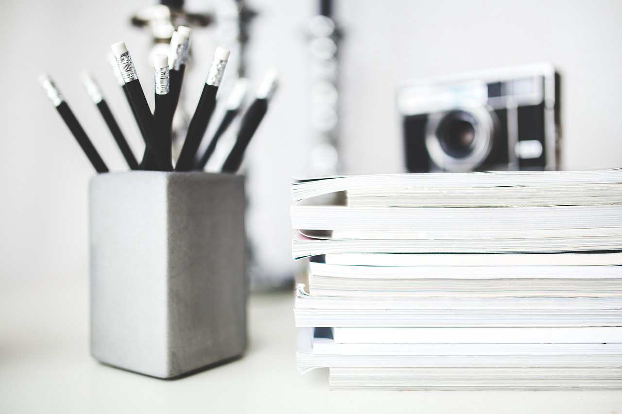 Os 7 Melhores Carros para Viagens com Animais de Estimação